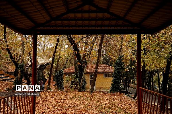 پاییز باهنر