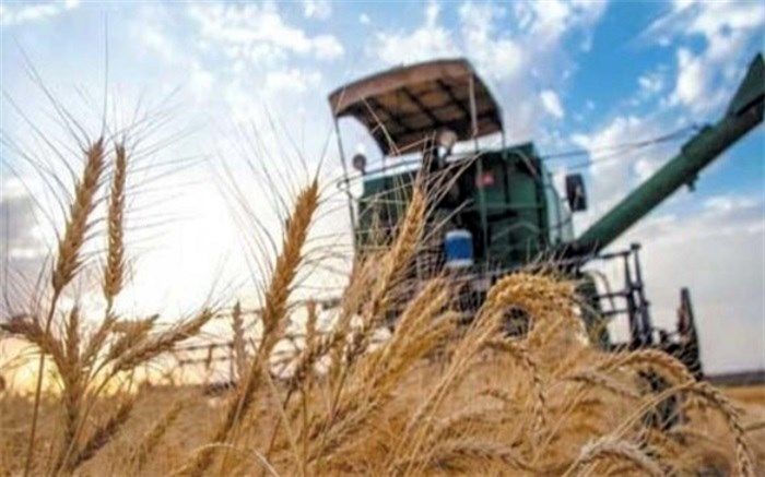 ٢٢٠٠ میلیارد ریال سرمایه در گردش به کشاورزان سیستان و بلوچستان پرداخت می‌شود