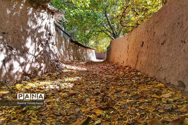 پاییز هزار رنگ باغ‌های شهرستان نی ریز