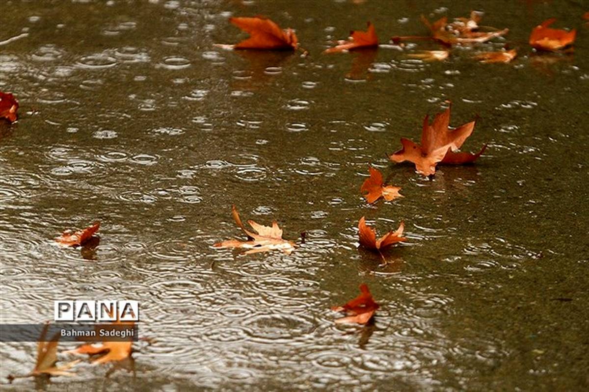 ورود سامانه جدید بارشی به کشور از فردا؛ بارش‌ها در 12 استان تشدید می‌شود