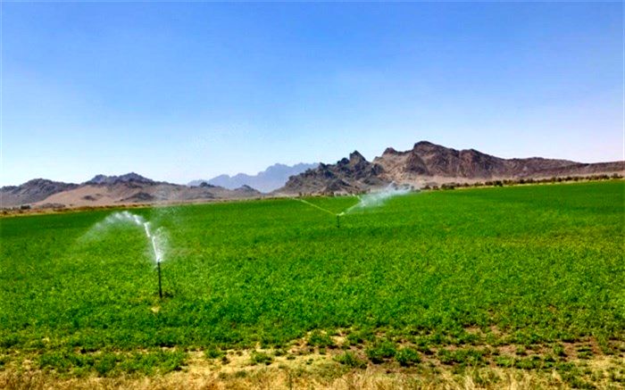 42 هزار هکتار از  اراضی کشاورزی سیستان و بلوچستان  به سیستم نوین آبیاری مجهز است