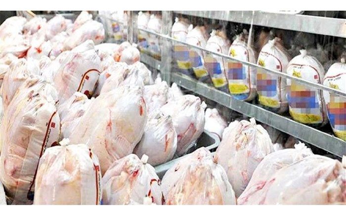 توزیع روزانه مرغ به ۹۵۰ تن رسید