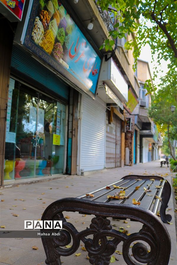 سکوت پاییزی شیراز در جولان کرونا