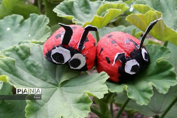 دانش آموزان مازندران؛ همیاران محیط زیست من