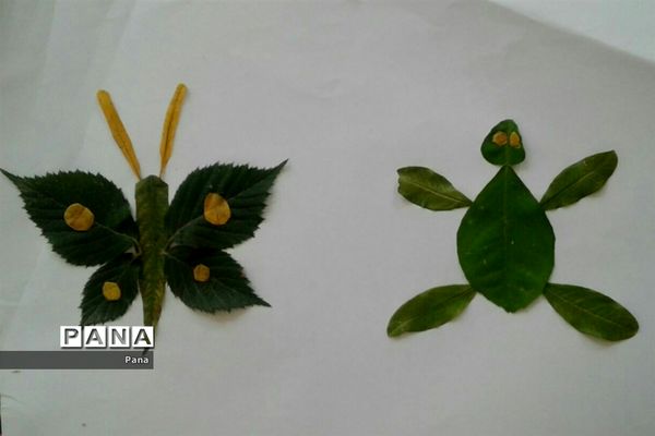 دانش آموزان مازندران؛ همیاران محیط زیست من