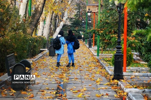 پاییز رنگارنگ درسکوت شهر