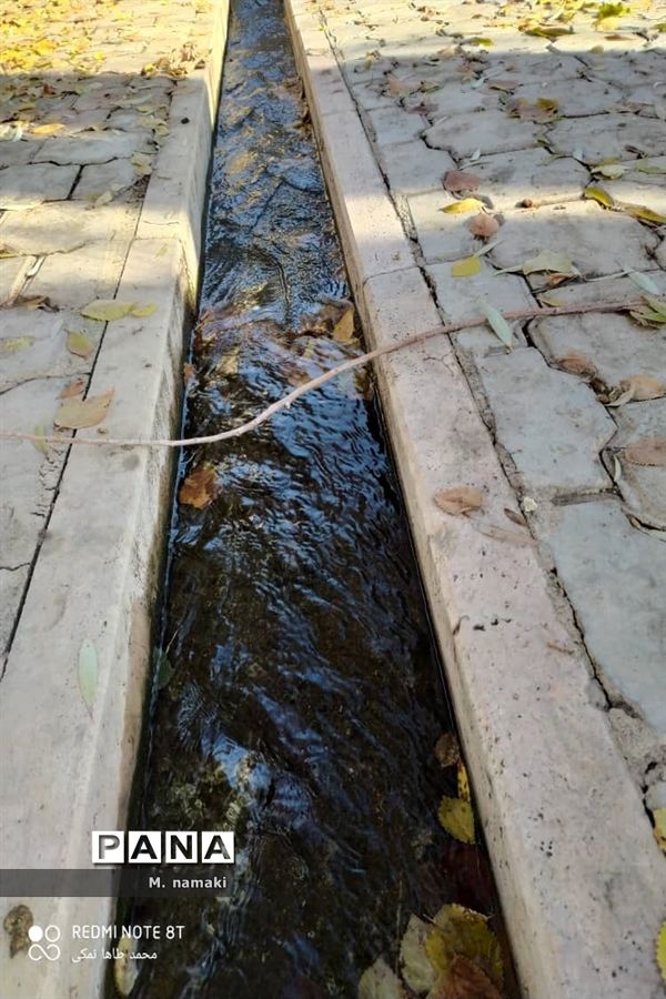 روزی با طبیعت  در مشهد اردهال