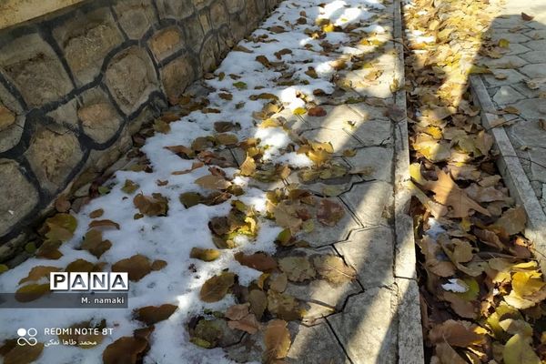روزی با طبیعت  در مشهد اردهال