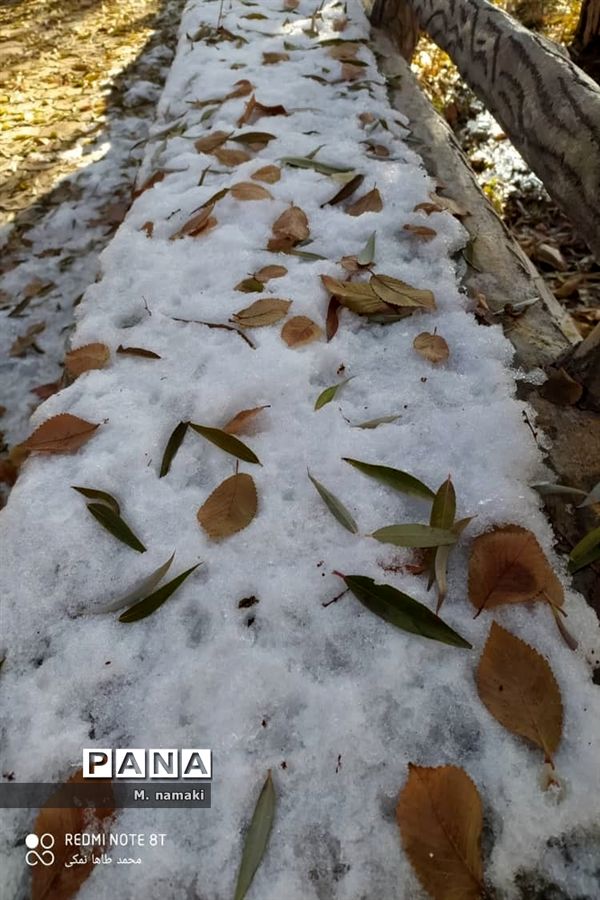 روزی با طبیعت  در مشهد اردهال