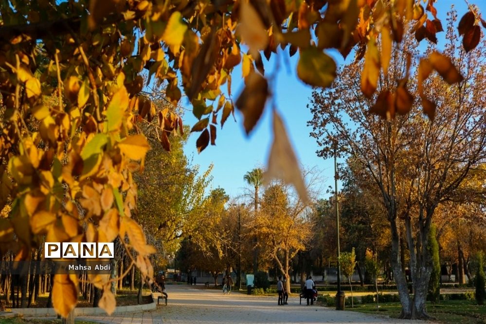 گذر پاییز در پارک شهر شیراز