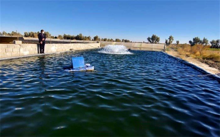 رهاسازی ٣٠ میلیون لارو ماهی در منابع آبی سیستان و بلوچستان 