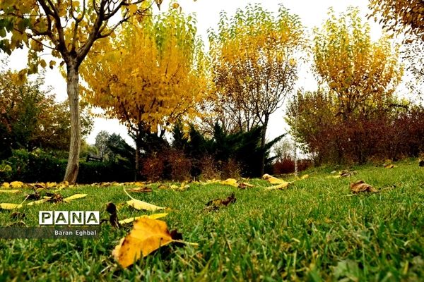 پاییز رنگارنگ تهران