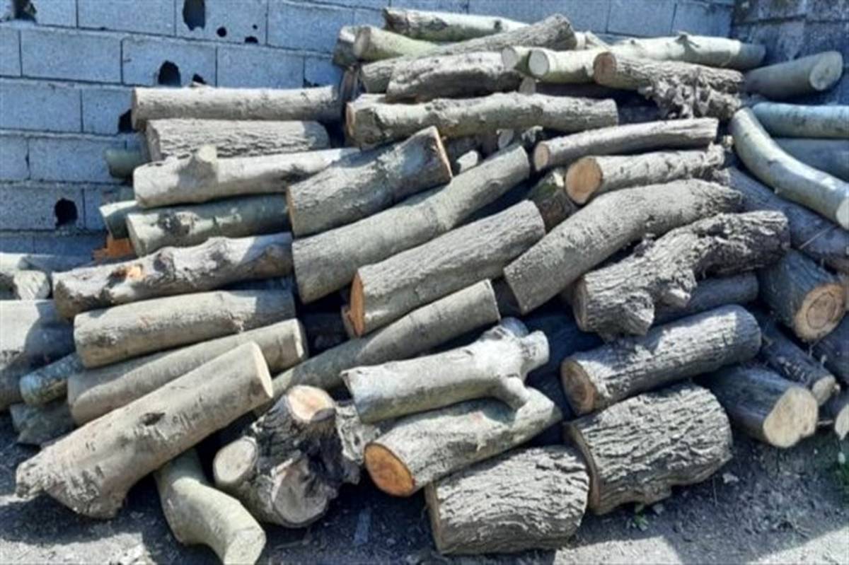 یک تن چوب جنگلی قاچاق در یک پراید کشف شد