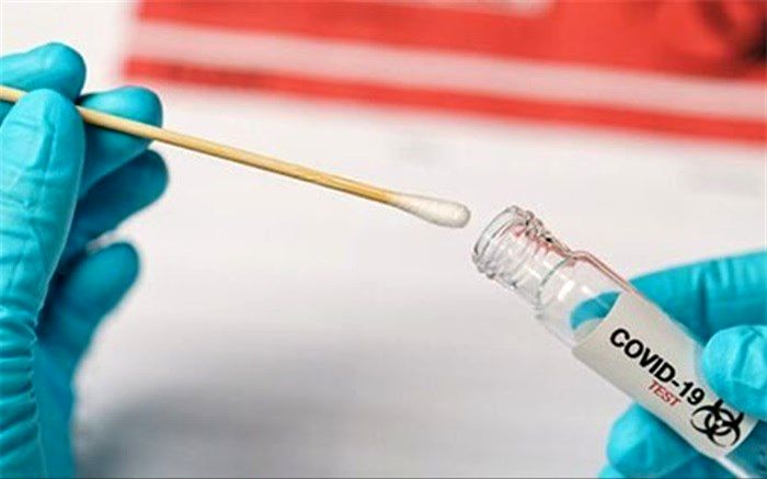 همه‌چیز درباره جهش جدید کروناویروس؛ از احتمال تشدید بیماری‌زایی تا اثرگذاری بر واکسن