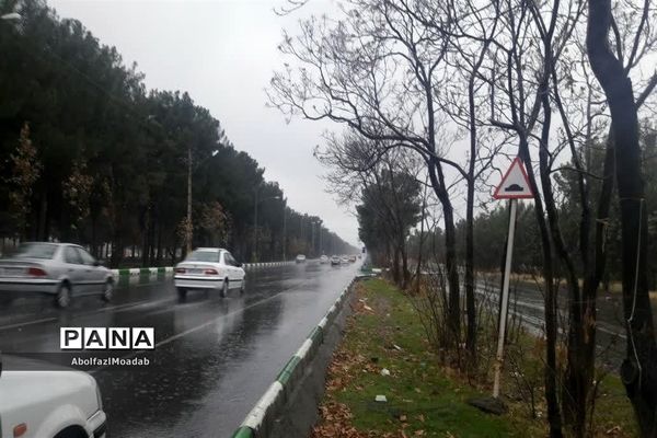 بارش باران شدید در کاشمر