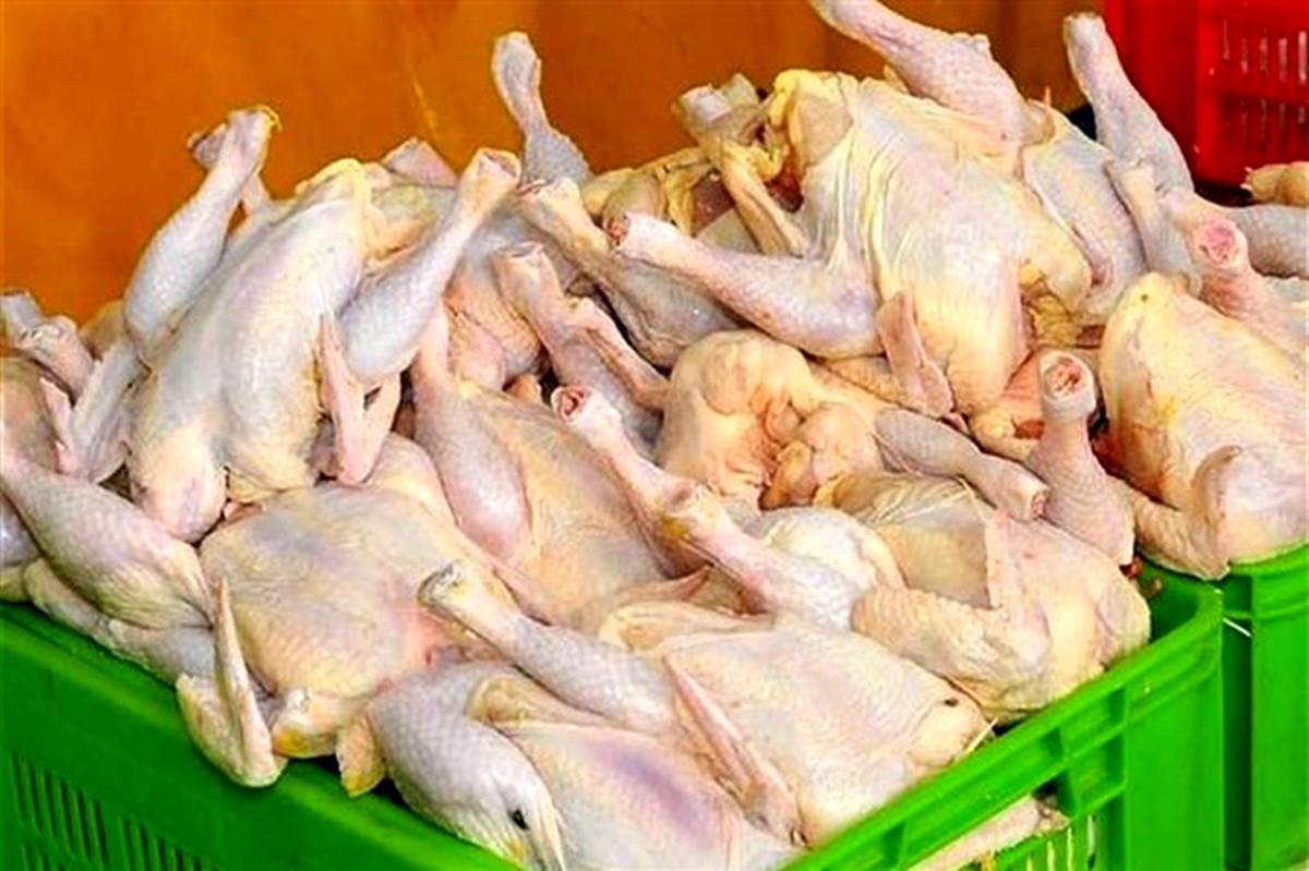 نرخ مرغ در بیشتر استان ها به کمتر از قیمت مصوب رسید