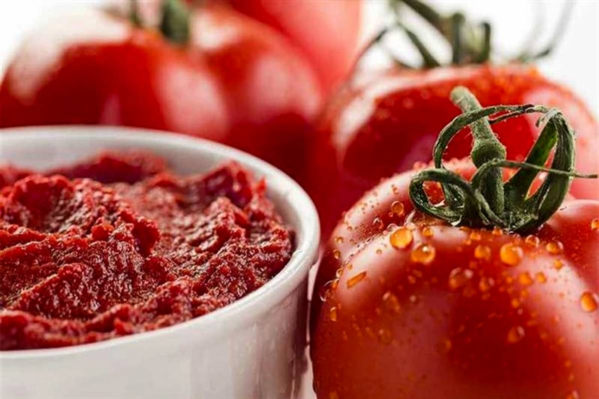 صادرات رب گوجه‌فرنگی تا پایان دی ماه تمدید شد