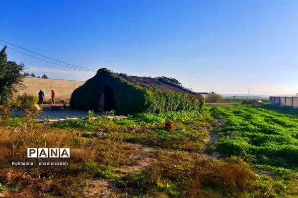 مزرعه پرورش توت فرنگی و گوجه فرنگی در  روستای درونک شهرستان امیدیه