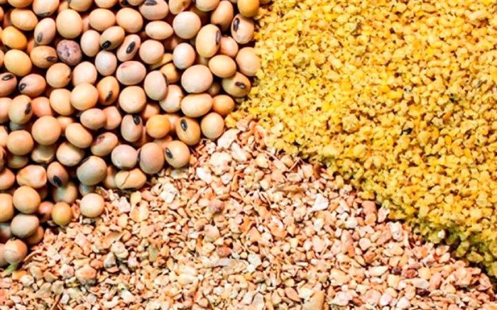 ۳ هزار تن کنجاله سویا و دانه روغنی قاچاق در سوادکوه کشف شد