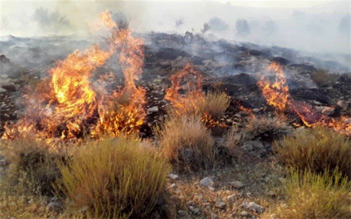 مهارآتش سوزی ارتفاعات تنگ قدرت شهرستان پاسارگاد