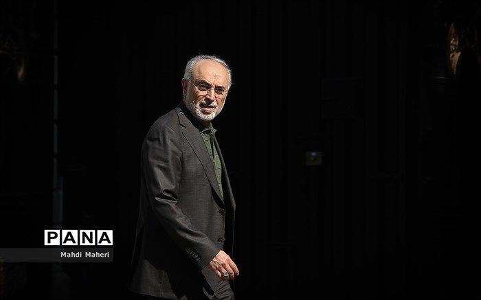 صالحی: ملاحظات اصولی ایران در بیانیه مشترک با آژانس در نظر گرفته شد