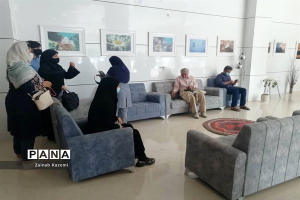 تور رسانه ای عمران توسعه استانداری بوشهر