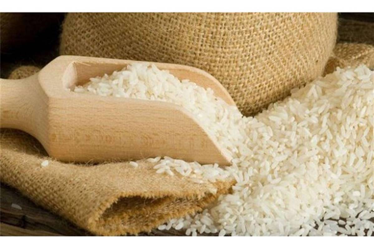 ترخیص محموله‌های برنج  ذخایر استراتژیک شرکت بازرگانی دولتی ایران شامل ممنوعیت فصلی نیستند