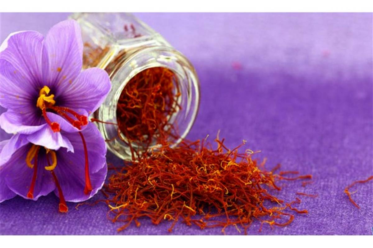 قیمت زعفران به یک پنجم ارزش واقعی آن در بازارهای جهانی رسیده است