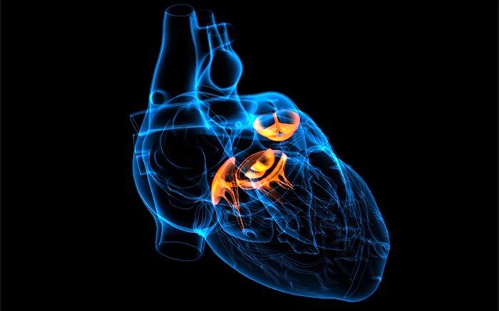 توزیع بیش از ۳ هزار باطری قلب در شش ماه اول سال جاری