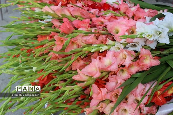 گلباران وعطر افشانی مزارشهدای هشت سال دفاع مقدس شهرستان اسلامشهر