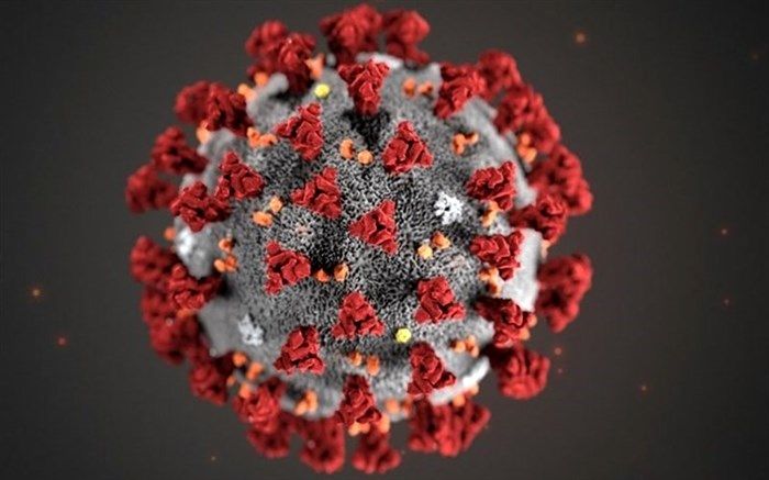 رعایت پروتکل های کرونا، کاهش انتقال آنفلوانزا را به دنبال دارد