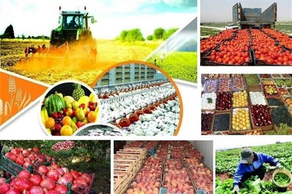 سازمان برنامه موظف به تخصیص اعتبار برای خرید محصولات کشاورزی در بودجه سالانه شد