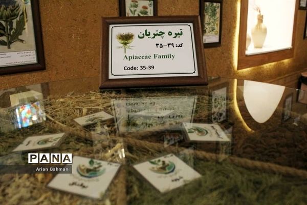 باغ موزه گیاهان دارویی و معطر استان زنجان