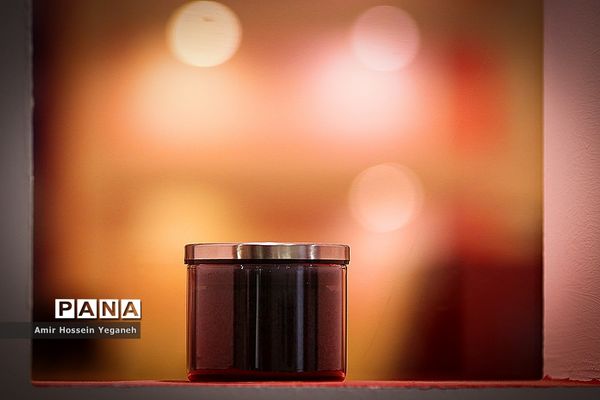 افتتاحیه نمایشگاه بین المللی فولاد ایران در جزیره کیش
