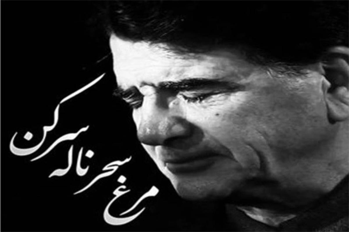 پیام تسلیت مدیرکل فرهنگ و ارشاد اسلامی استان بوشهر به مناسبت درگذشت استاد محمدرضا شجریان