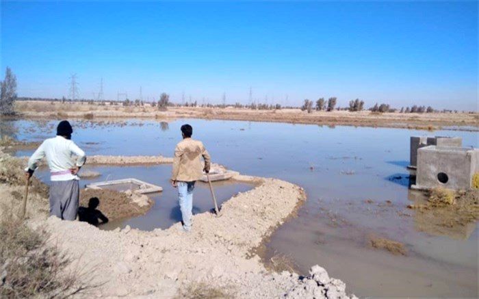 آبیاری بیش از 56 هزار هکتار از اراضی دشت سیستان