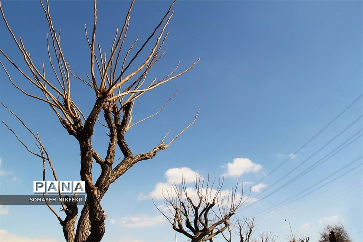 وزش باد باعث شد مردم تهران برای ساعاتی هوای پاک را تجربه کنند