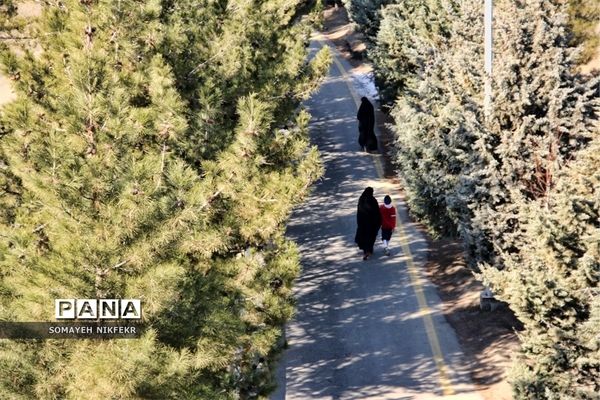 وزش باد باعث شد مردم تهران برای ساعاتی هوای پاک را تجربه کنند