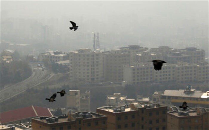 مازوت ایران چند برابر آلوده‌تر از مازوت کشورهای پیشرفته است