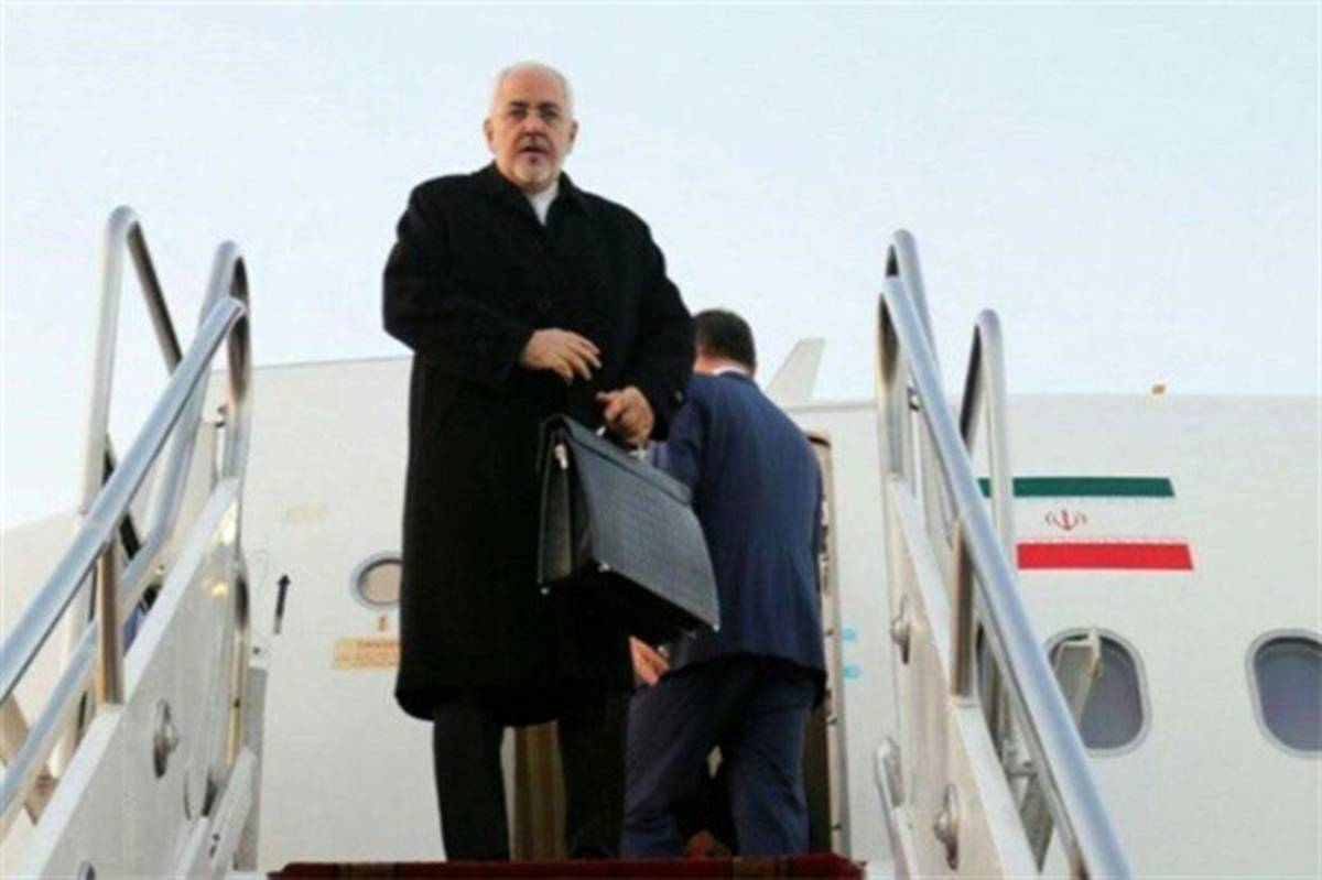 ظریف با رئیس مجلس عالی نخجوان دیدار کرد