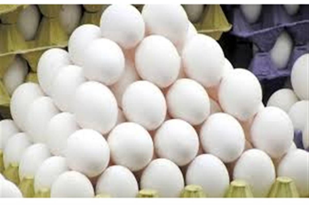 علت گرانی تخم مرغ چیست؟