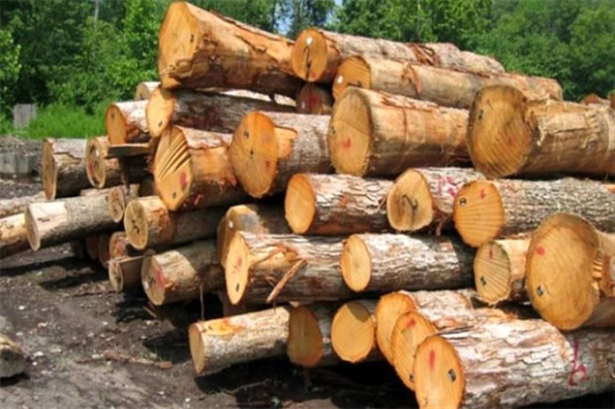 کشف محموله چوب قاچاق در منطقه جنگلی تنگ چوگان شهرستان کازرون