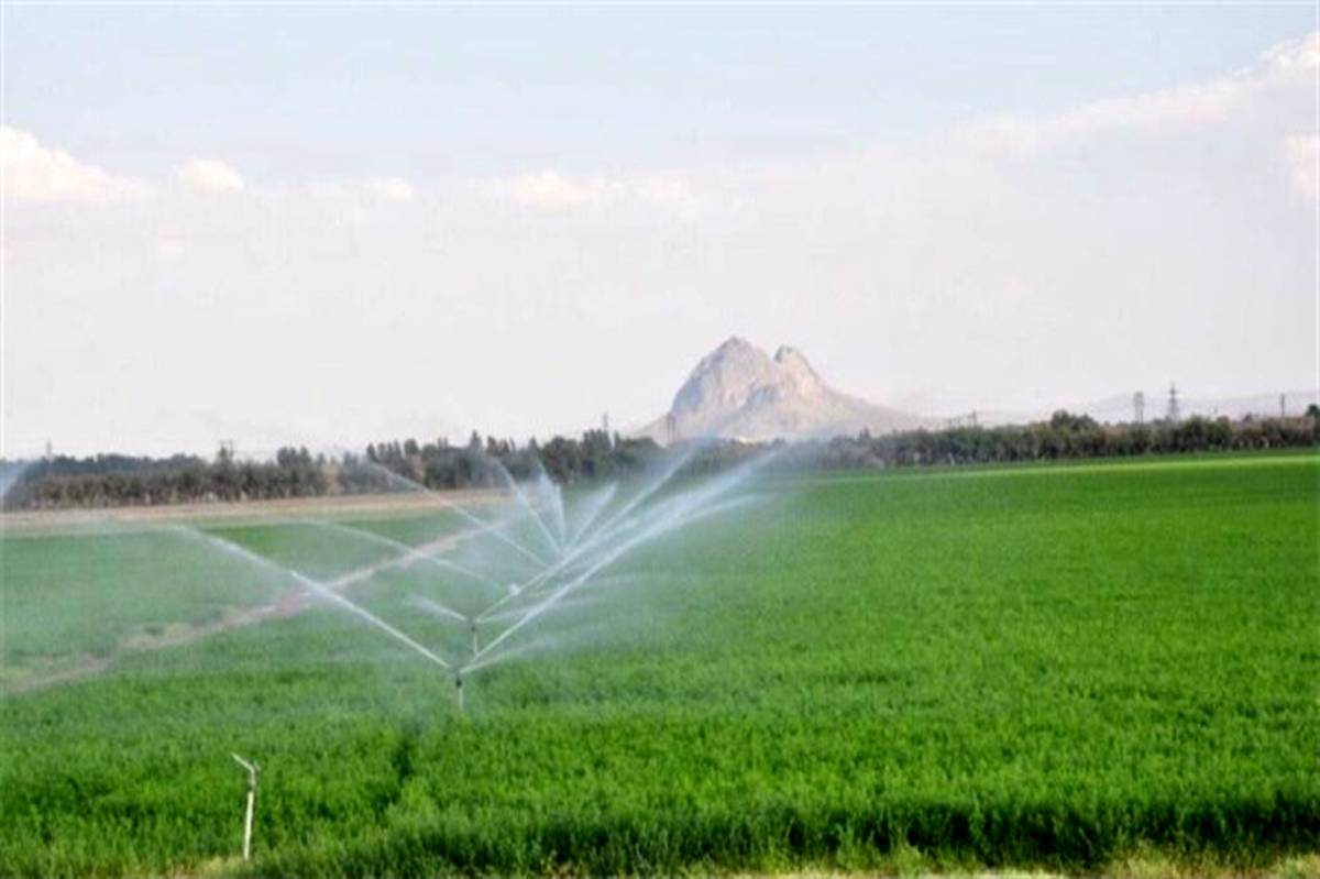 ٢٢ درصد از اراضی کشاورزی سیستان و بلوچستان به سیستم مدرن آبیاری مجهز شد