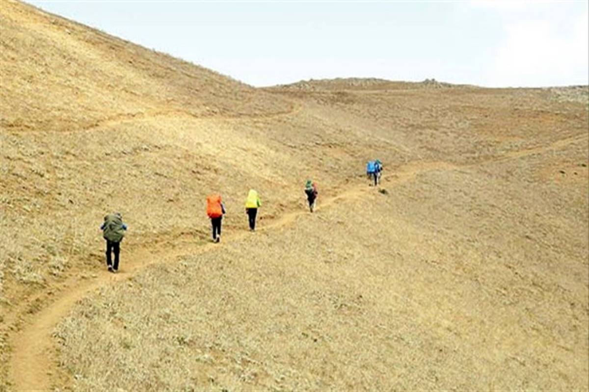 معمای طبیعت‌گردی