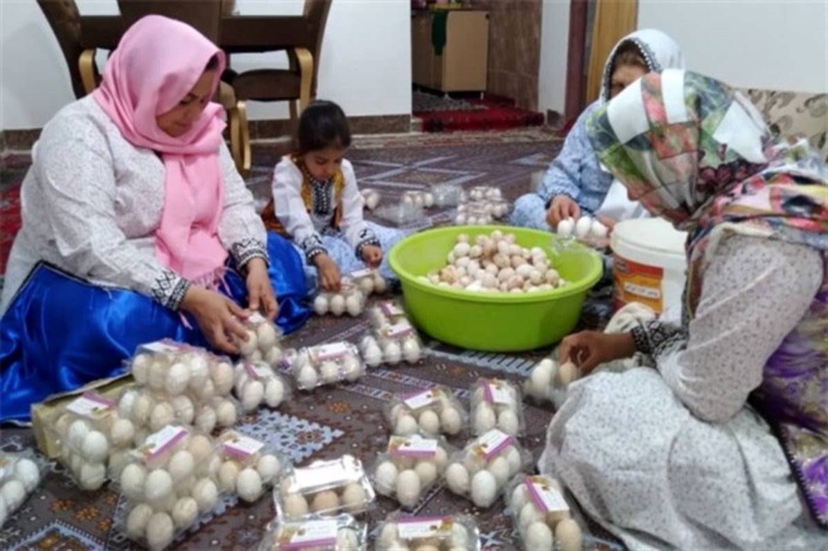 ١١٠ صندوق اشتغال زنان روستایی و عشایری در سیستان و بلوچستان فعال است
