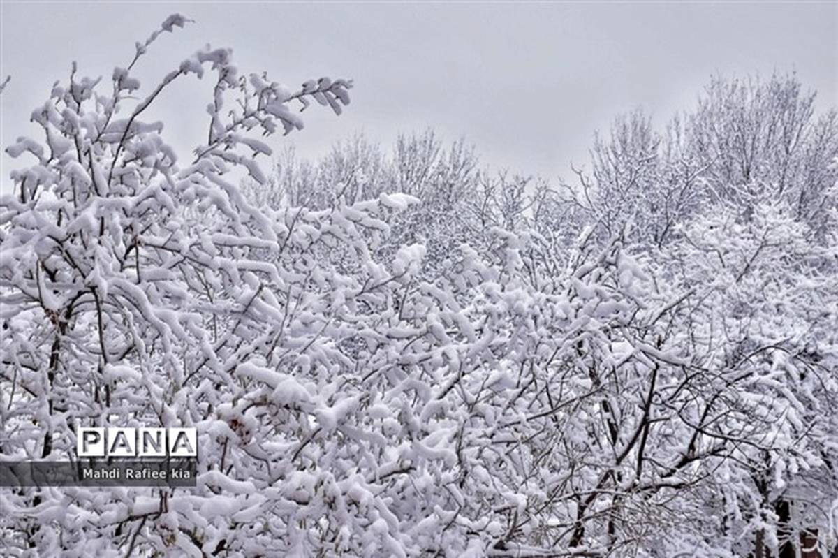 پیش‌بینی سازمان هواشناسی از تداوم بارش برف و باران تا 5 روز آینده