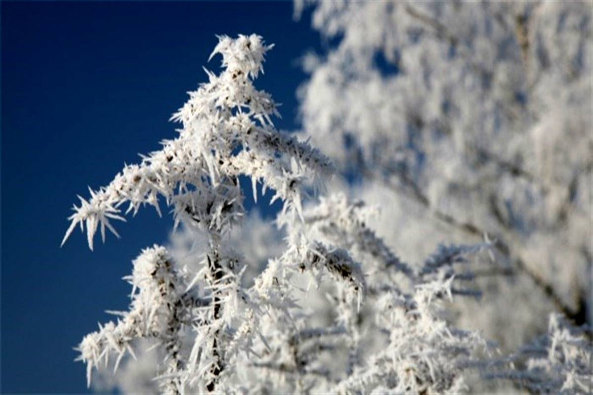 پیش بینی کاهش 15 درجه ای دمای هوا در سیستان و بلوچستان