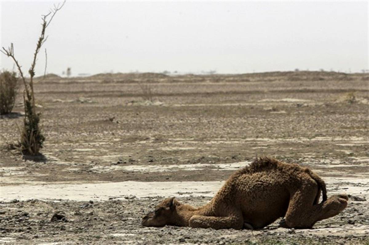 کاهش 96 درصدی بارندگی در سیستان و بلوچستان چه پیامدهایی دارد؟