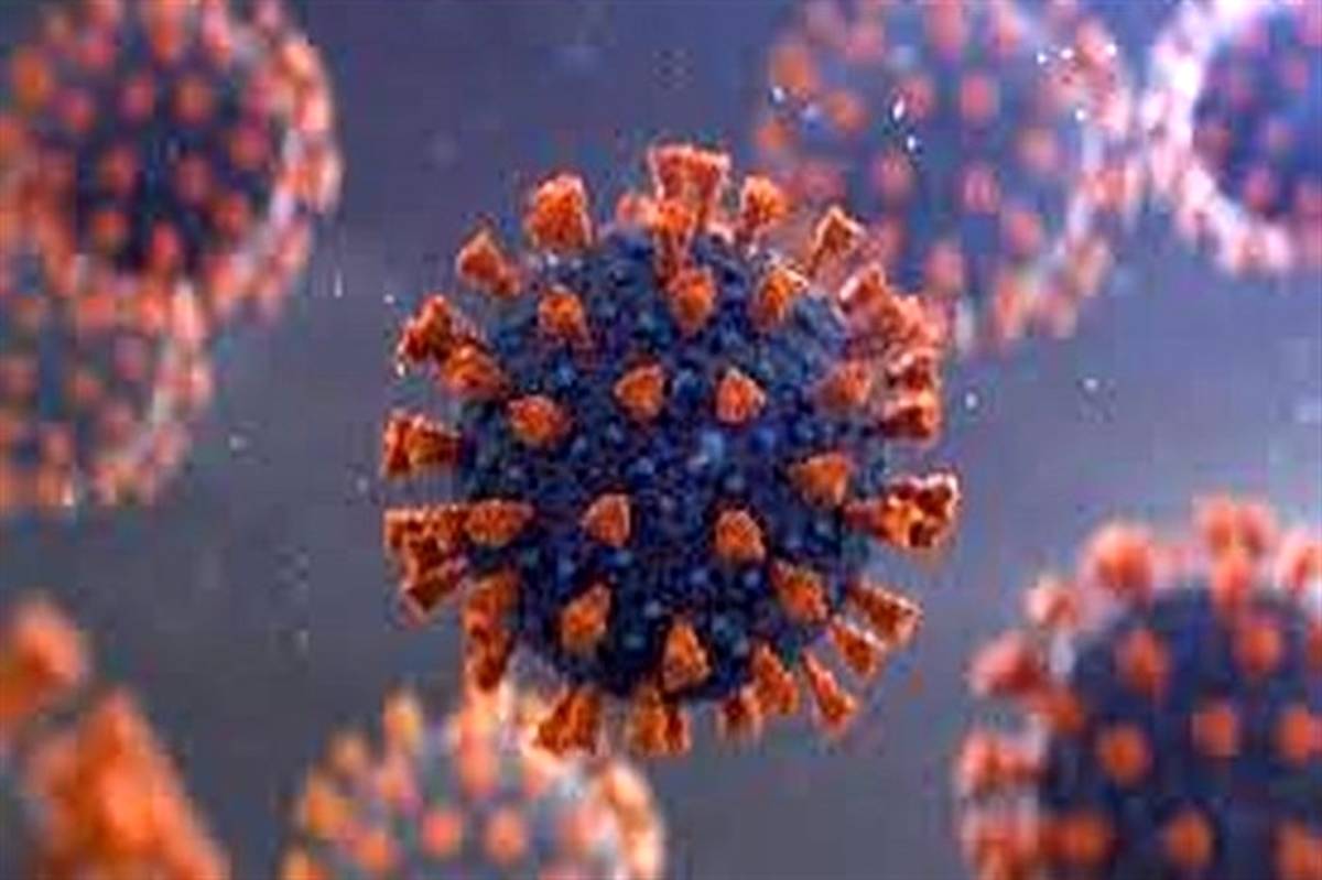 ۶۵ بیمار مبتلا به ویروس کووید۱۹ در ۲۴ ساعت گذشته در بیمارستان‌های گیلان بستری شدند