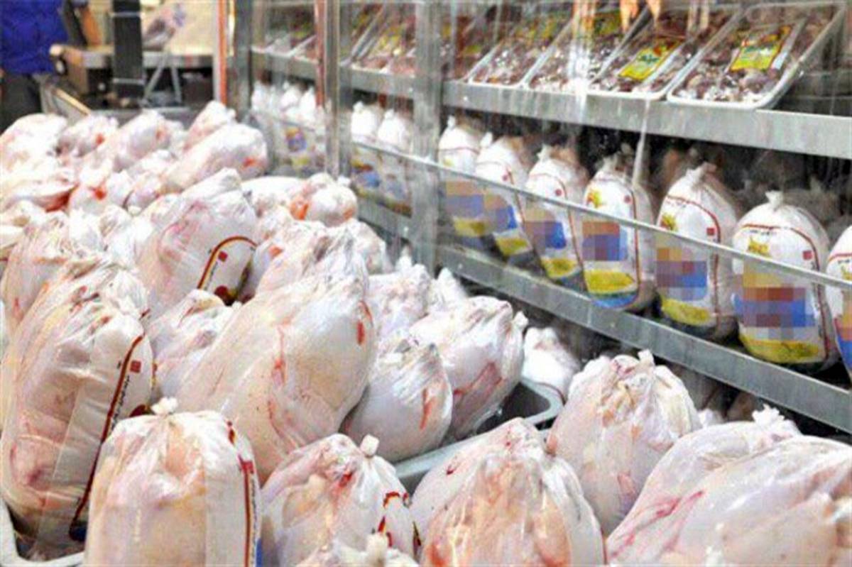 آغاز توزیع ٨۵٠ تن گوشت مرغ منجمد طرح تنظیم بازار در سیستان وبلوچستان
